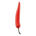 thumbnail image 2 of Simulation PU Fake Vegetable Green Food Model Harvest Decor Photography Props, 2 of 12
