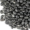 thumbnail image 2 of Organic Black Turtle Beans -1 Lb- Called Black Bean & Spanish Black Bean - Seed Sprouting Sprouts, Cooking, Food Storage Product Name, 2 of 3