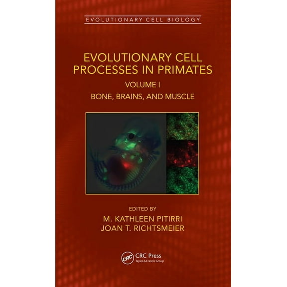 Evolutionary Cell Biology Evolutionary Cell Processes in Primates: Bone, Brains, and Muscle, Volume I, (Hardcover)