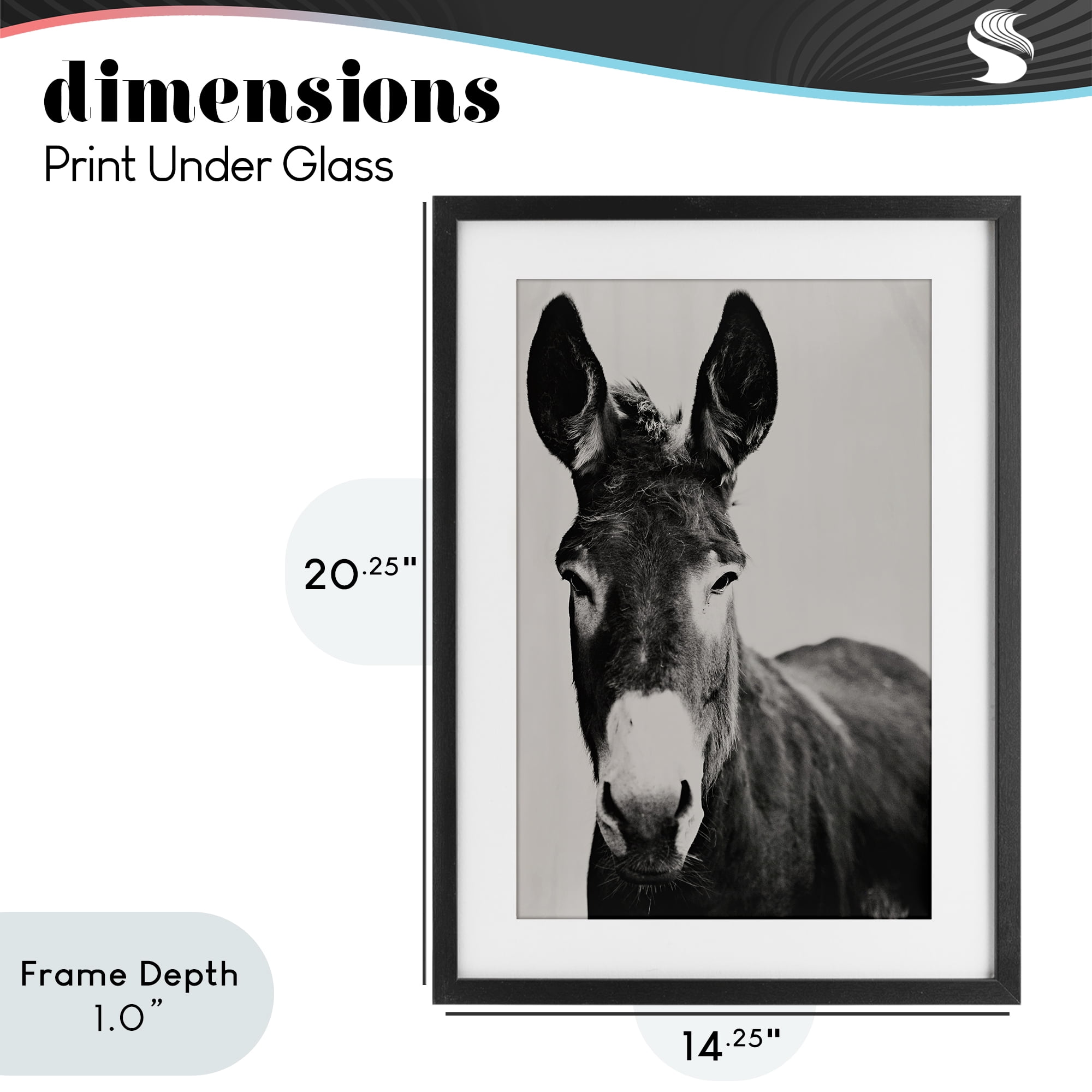 Stupell Industries Franz the Donkey Portrait Black Framed Print Under Glass, design by Amy Carroll