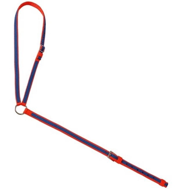 Jacks 20328-TU-RE Deux Tons Course Martingale Joug&44; Turquoise & Rouge