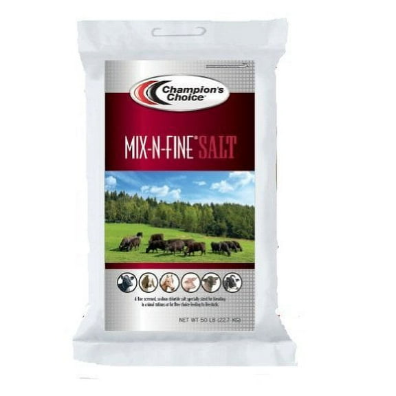 Cargill Fine Salt Table Salt - Fine Texture, Shelf-Stable - 50 Lbs Box