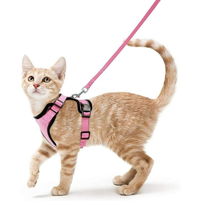 Arnés y correa para gatos para caminar, arneses de chaleco ajustables suaves a prueba de Escape para gatos, chaqueta transpirable de fácil Control brillar Hogar