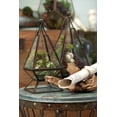thumbnail image 3 of Laurel Terrariums - Set of 3, 3 of 4