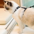 thumbnail image 2 of AMERTEER Cat Leash Back Strap 1 Set Hold Pets No Constraint Stable High Strength Dog Leash Back Strap, 2 of 5