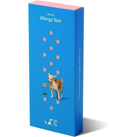 Kits de Test de Sensibilité et d'Intolérance pour Allergie Canine et Chien, Collecte d'Échantillons à Domicile pour Chiens Allergie