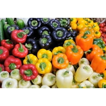 150 Seeds RAINBOW BELL PEPPER Sweet Red, Green, Yellow, Orange, Purple, Brown, & White Capsicum Annuum Vegetable Seeds