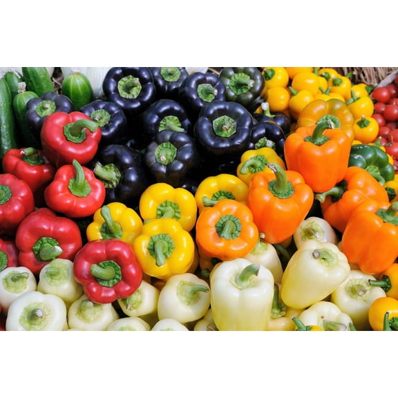 150 Seeds RAINBOW BELL PEPPER Sweet Red, Green, Yellow, Orange, Purple, Brown, & White Capsicum Annuum Vegetable Seeds