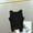 Black, variant on Womens Summer Tank Tops Cotton Pink Sleeveless Basic T Shirts for Women Casual
