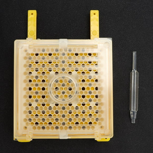 Bouteille de Marquage de Cage Outil d'Apiculture Kit d'Élevage d'Abeilles, Kit d'Élevage Pratique, Kit d'Outils d'Apiculture pour Reine