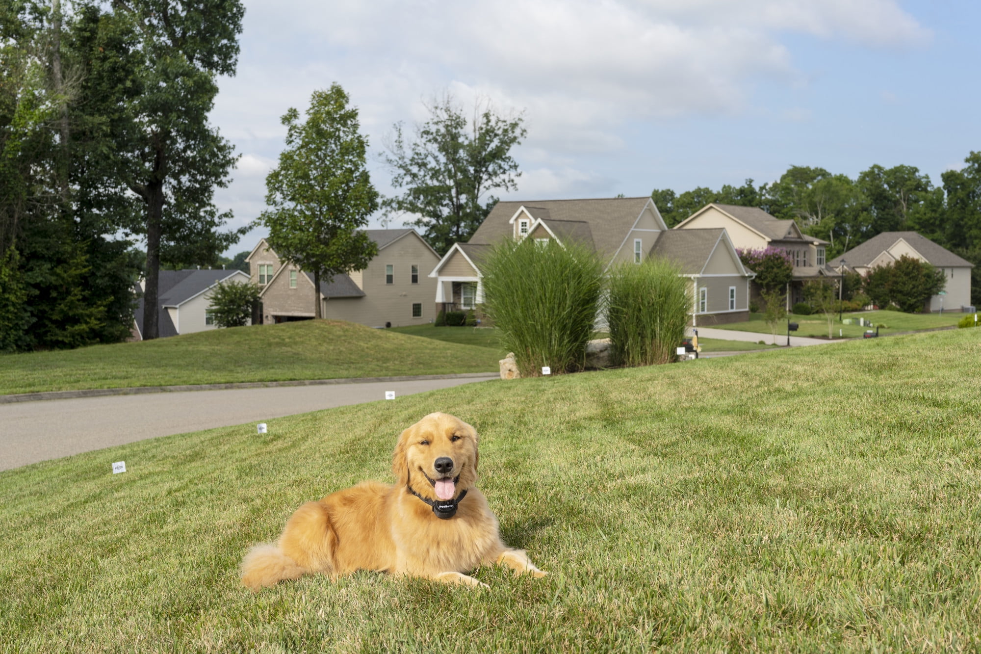 Stay & Play® Compact Wireless Fence