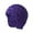 Purple, variant on Hats for Women Beanie Hats for Women Winter Hats for Men Women Lined Soft Warm Knit Hat Ski Stocking Cap