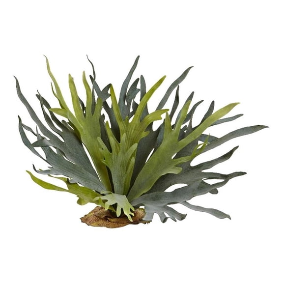 Nearly Natural 21" Staghorn Fern (Set of 2) in Green