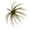 Army Green#3, variant on Sea Urchin Bait, Reflective Star Sea Urchin Lure, Eye-catching Design to Draw Fish Quickly in Open Water (Army Green)