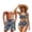 Boho Chicken, variant on Couples Swimwear Matching Set Tummy Control Bikini for Women Two Piece Mens Boardshorts with Pockets Quick Dry Swim Trunks Couples Matching Bathing Suits Woman XL
