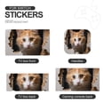 thumbnail image 4 of POBUDS Switch Skin | Sticker Wrap Vinyl Decal | Set Compatible with Nintendo Switch ( Switch OLED Model, Cat), 4 of 5