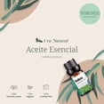 thumbnail image 3 of Aceites Esenciales UVA Natural Toronjil 100% Natural Aromaterapia con Caja de Regalo Exquisita, 3 of 6