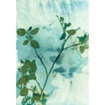 thumbnail image 2 of McCurdy, Krista 24x32 White Modern Wood Framed Museum Art Print Titled - Leaves and Sky, 2 of 4