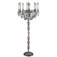 thumbnail image 1 of Elegant Lighting Rosalia 62" 8 Light Elements Crystal Floor Lamp, 1 of 1