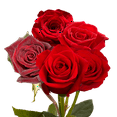 thumbnail image 2 of One Dozen Red Roses- Fresh Flower Delivery, 2 of 4