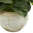 thumbnail image 3 of Nearly Natural 9244 26 in. Artificial Rubber Plant in Stone Planter, 3 of 3