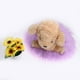thumbnail image 5 of Ganfancp Suave Alfombra de Piel de Oveja Artificial Silla Cubierta de Lana Artificial Caliente Peludo Alfombra Asiento Ofertas Del Día Sólo En Línea 1X Alfombra, 5 of 5
