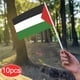 thumbnail image 2 of Hand waving flag printed with double-sided pattern on the flagpole Printed flag Small size holding flag, 2 of 5