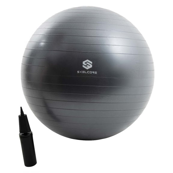 Skelcore 65cm Exercise Balance Ball w/ Pump, Non-Slip Stability Ball