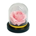 thumbnail image 3 of PRESERVED ROSES IN A MINI ROSE DOME DIAMOND INSIDE, 3 of 7