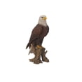 thumbnail image 2 of Águila calva decorativa en tocón, poliresina Hi-Line Gift Ltd., 2 of 5