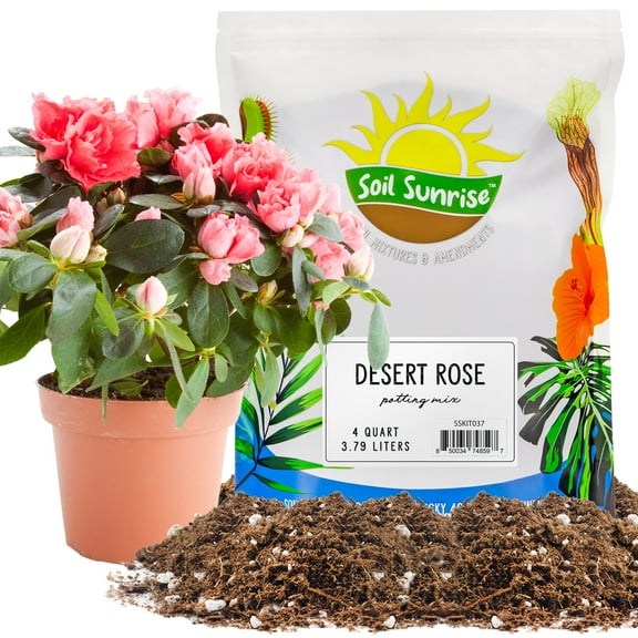 Desert Rose Potting Soil Mix (4 Quarts), Repot, Sprout and Grow Potted Plants