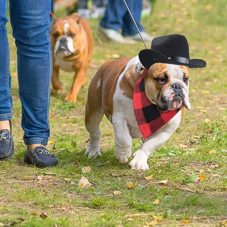 Puppy cowboy deals costume
