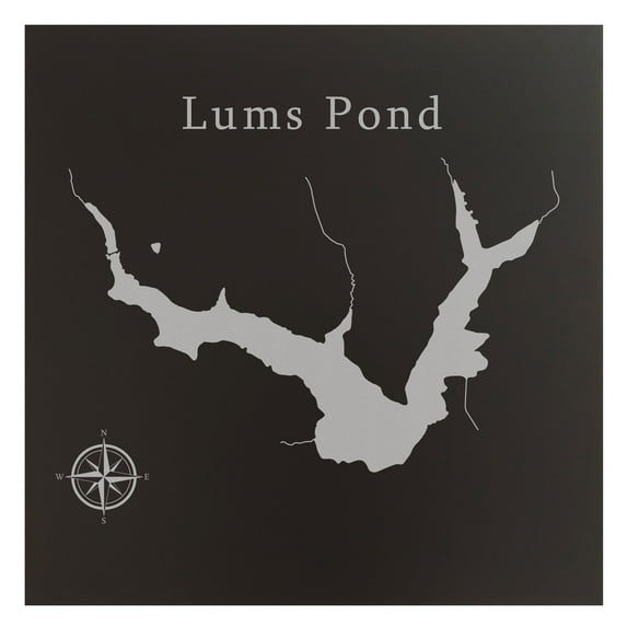 Lums Pond Map 12x12" Black Metal Wall Art Office Decor Gift Engraved Delaware