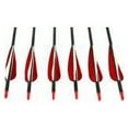 thumbnail image 2 of Sage Premium Recurve Carbon Arrows 31.5" - 35-45lb - 6 Pack- Red, 2 of 4