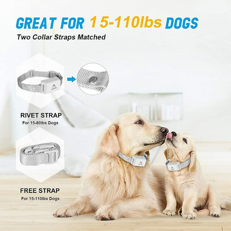Petic anti bark collar sale