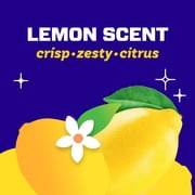 Mr. Clean Clean Freak Lemon Scent Antibacterial Multi-Purpose Bath Cleaner, 16 Fl Oz