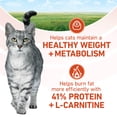 thumbnail image 5 of Purina ONE Plus Healthy Weight Dry Cat Food With Chicken, 7 lb, 5 of 13