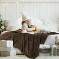 thumbnail image 3 of PiccoCasa Bed Blanket Mesh Soft Plush Fleece Blanket Twin 59"x78", Coffee Color, 3 of 7