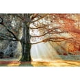 thumbnail image 2 of Great Art Now Basking In The Sun by Lars Van De Goor, Framed Wall Art, 24.75W x 18.75H, 2 of 2
