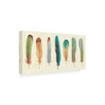 thumbnail image 2 of Trademark Fine Art 'Feather Tales VII' Canvas Art by Daphne Brissonnet, 2 of 3