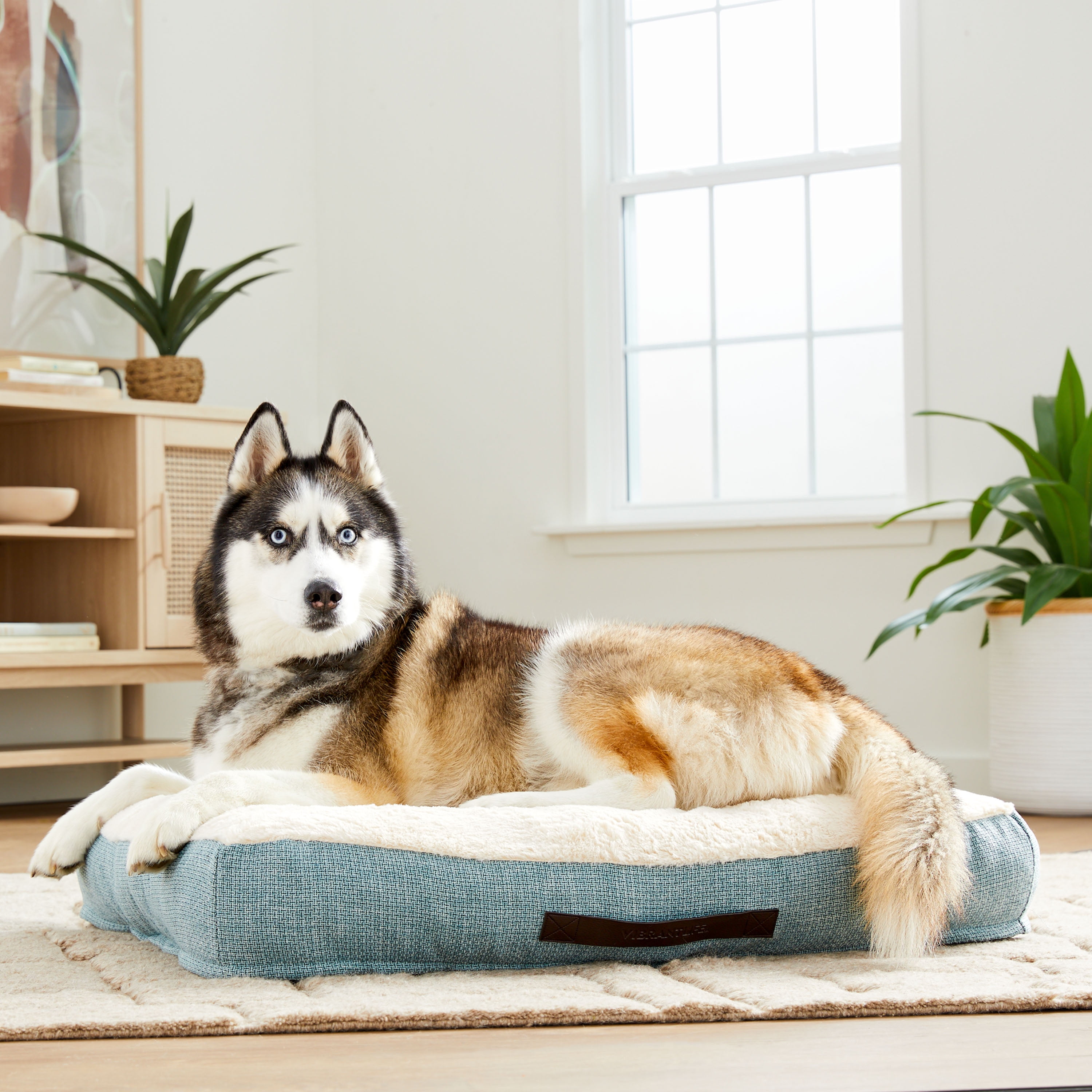Vibrant Life Bolster Dog Pet Bed, Large