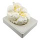 thumbnail image 2 of Modelo de cerebro humano Modelo de cerebro humano Herramienta de enseñanza de anatomía para la enseñanza de la escuela Suministros de ciencia educativa Recursos 3 piezas SM SunniMix anatomía del cerebro, 2 of 4