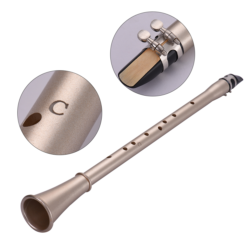Rantoloys Do Key Mini Simple Clarinette Sax Compact Clarinette-Saxophone ABS Mat/ériel Instrument /à vent musical pour d/ébutant avec sac