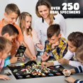 thumbnail image 2 of Colección de minerales y fósiles de roca para niños con más de 250 especímenes, 2 of 6
