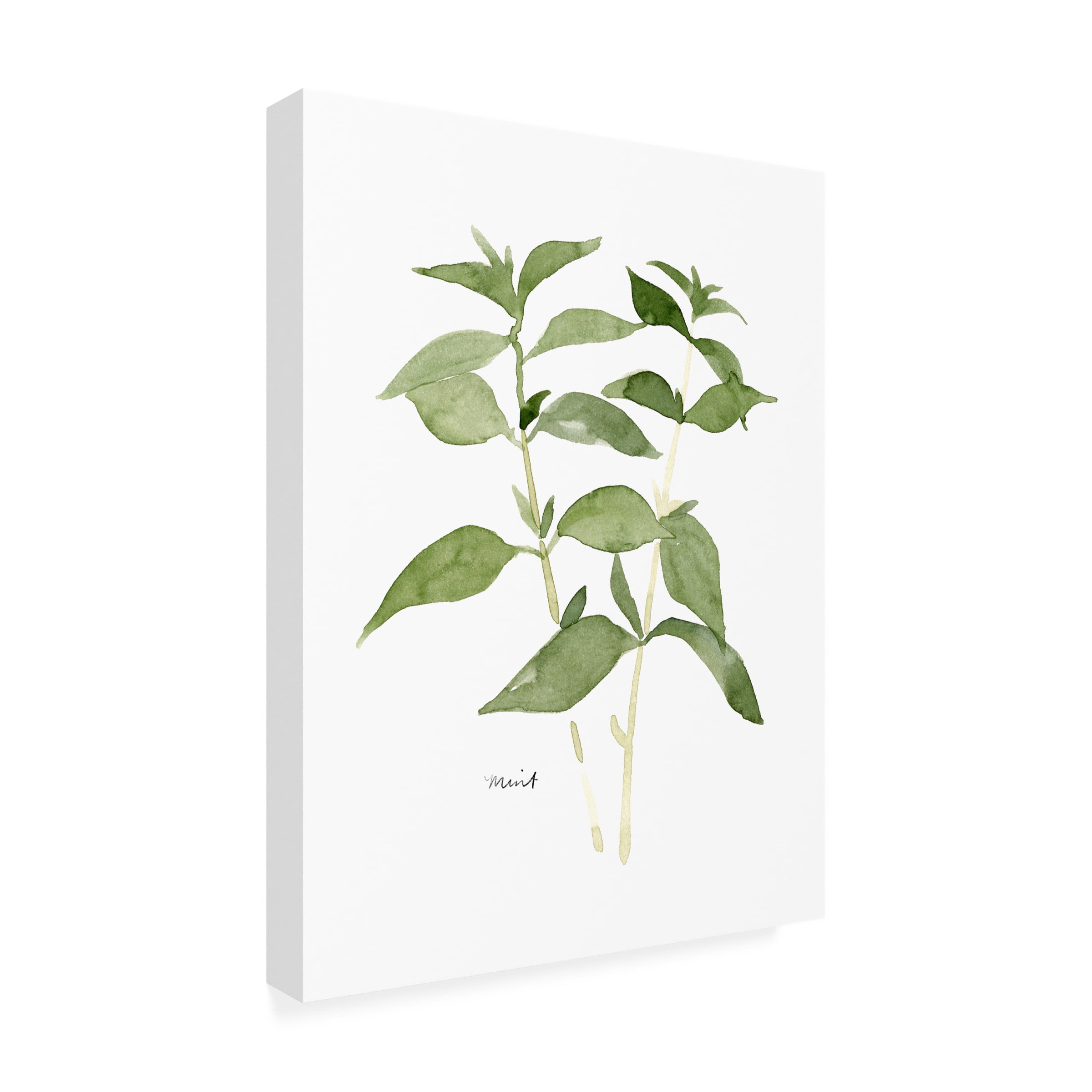 Emma Scarvey 'Herb Garden Sketches I' Canvas Art