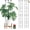 32in/4p, variant on 2 32in Monstera Support Stakes for Indoor , Stackable Garden Trellis for Climbing Outdoor, Climber Support for Pothos Philodendron Vine