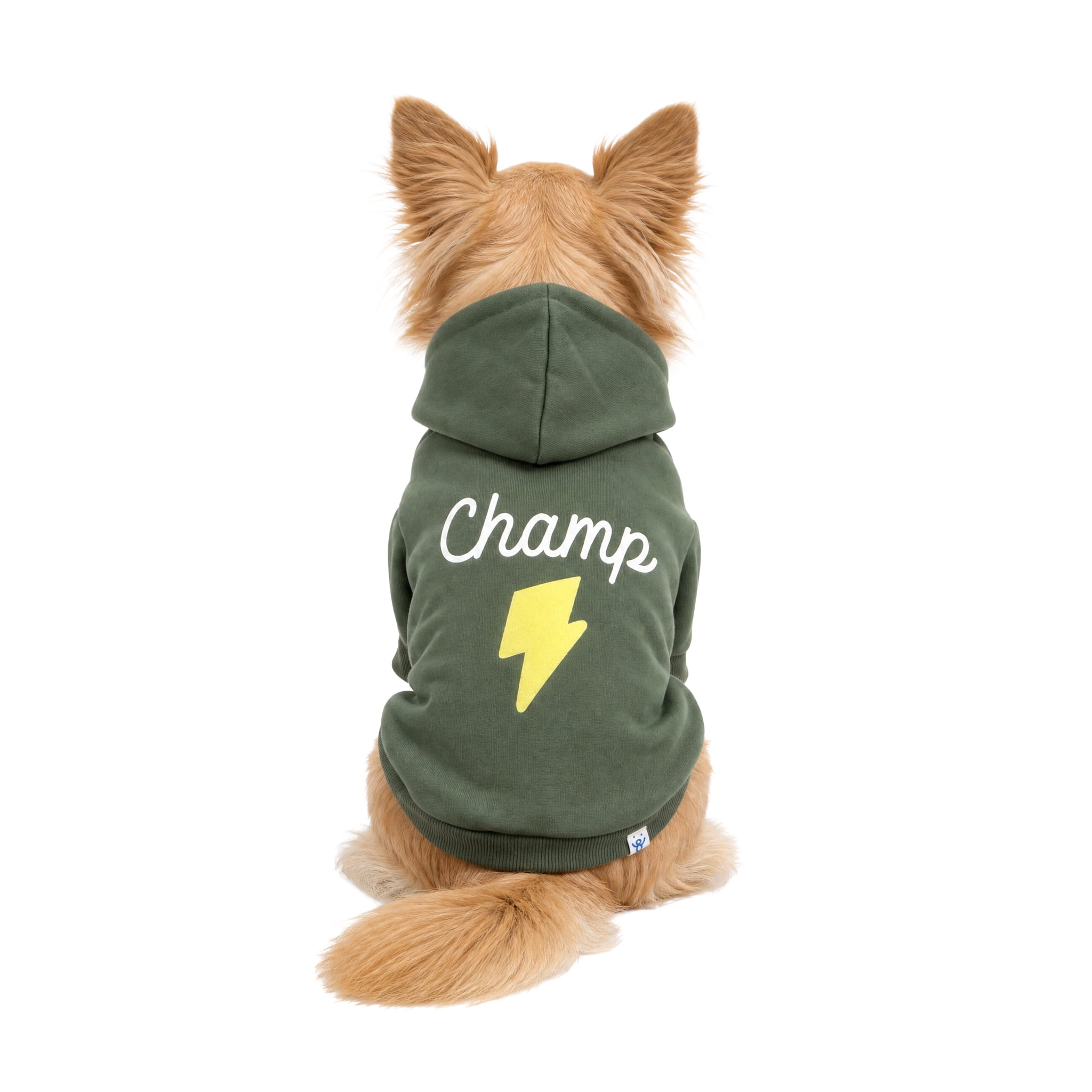 Oodles Champ Fall Lightning Bolt Dog Hoodie, Green, XS