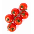 thumbnail image 2 of Graines de tomates Tiny Tim, 2 of 2