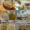thumbnail image 5 of 4pcs 70mm Stainless Steel Strainer Sprouting Cover Lid for Jar Sprout, 5 of 10