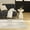 Ivory Beige, variant on Nourison Nordic 5' x 7' Ivory Beige Modern Indoor Rug